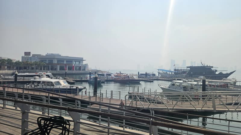 Bahrain Crackdown: Illegal Workers Caught in Marine Inspections