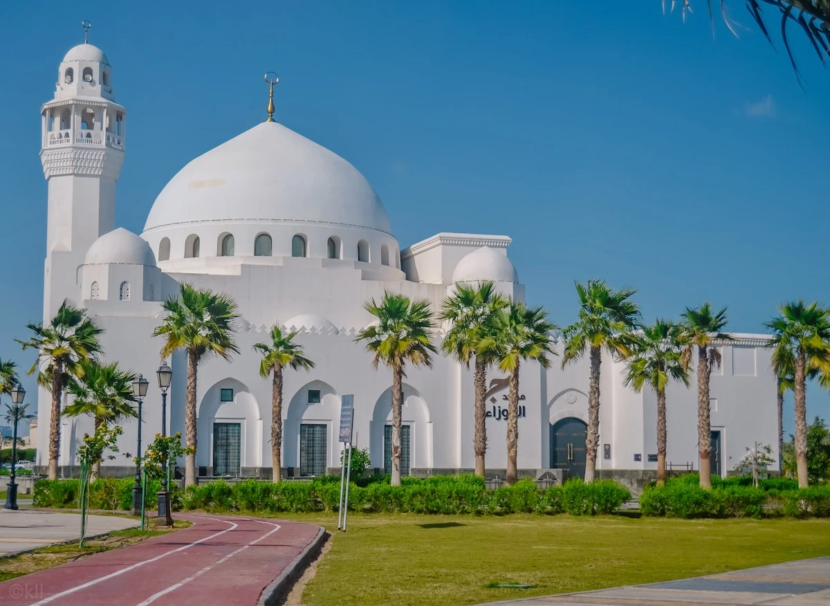 Kuwait Fires Thousands of Expat Teachers in Major School Job Cuts