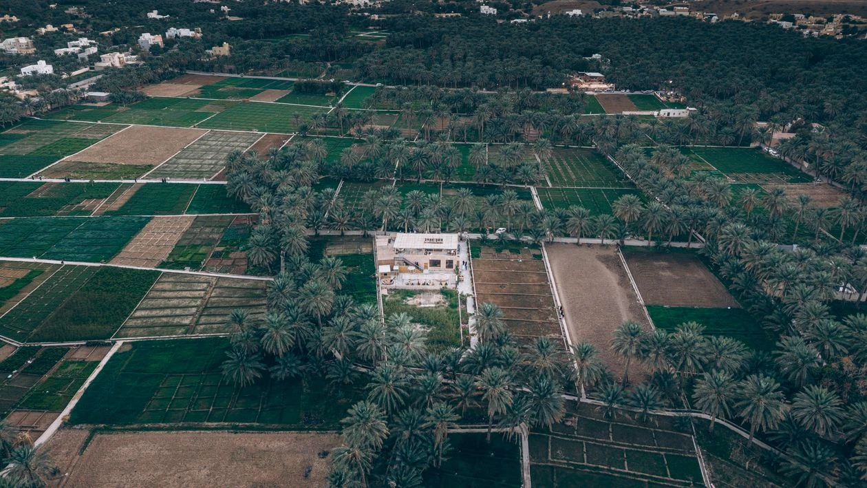 Oman Signs Huge Deal To Hire 10000 Bangladeshi Farm And Fishery Workers